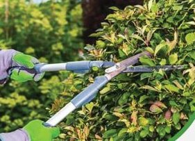 Green Waste Collection